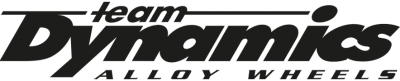 TeamDynamics-partner